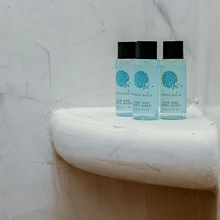 Vinas Place Center Hotel