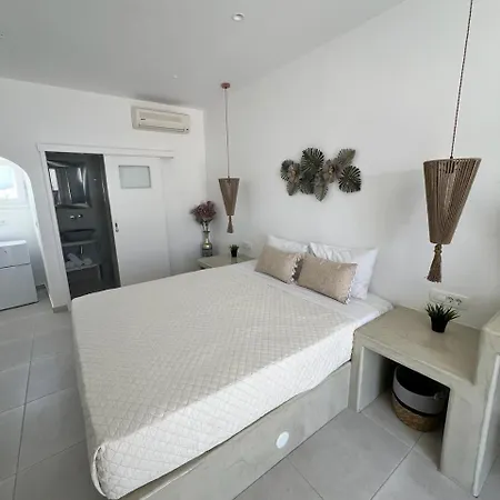 Vinas Place Center 2* Fira (Santorini)