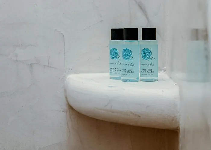 Vinas Place Center ホテル